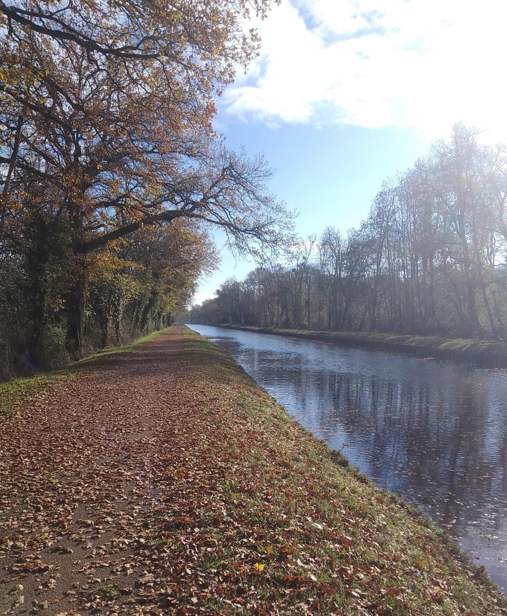 La Halte Du Canal Luthenay-Uxeloup Exterior foto